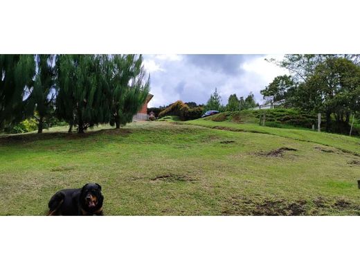 أرض ﻓﻲ ميديلين, Medellín