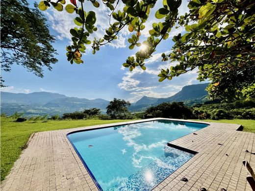 Arsa Fredonia, Departamento de Antioquia