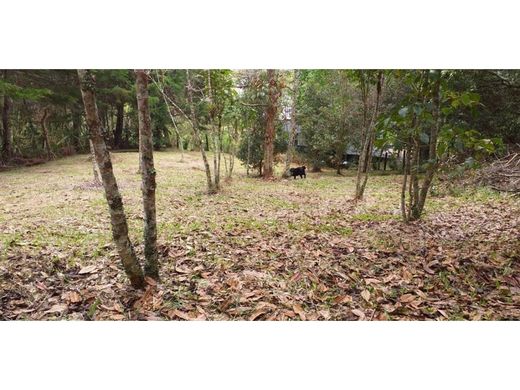 Terreno a Rionegro, Departamento de Antioquia