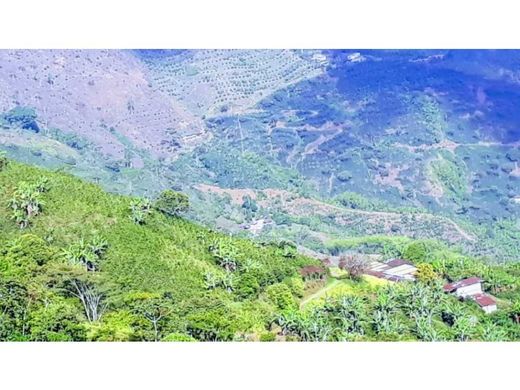 村舍/农舍  Pijao, Quindío Department