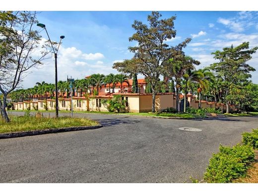 豪宅  卡利, Cali