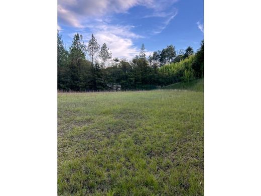 토지 / Rionegro, Departamento de Antioquia