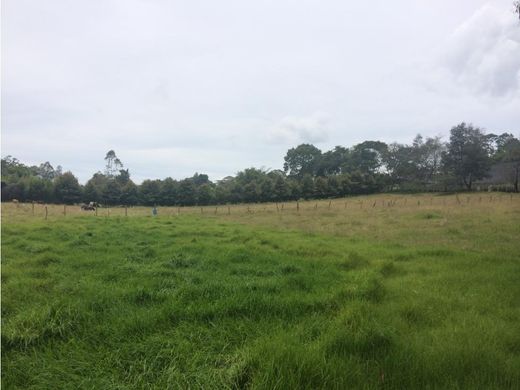 Terreno en Rionegro, Departamento de Antioquia