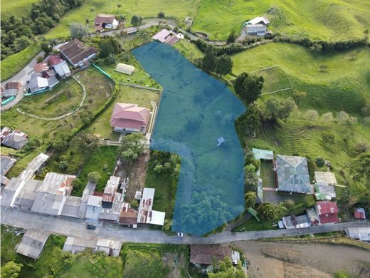 地皮  Filandia, Quindío Department