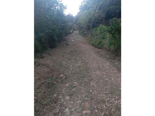 ‏קרקע ב  מדיין
, Medellín