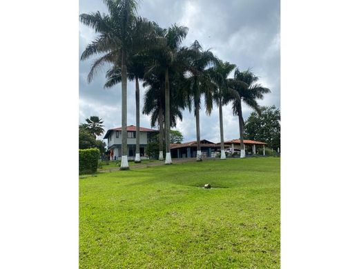 Farmhouse in Pereira, Departamento de Risaralda