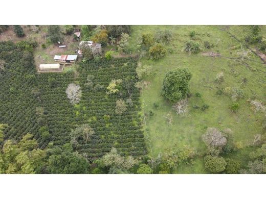 Farmhouse in Armenia, Quindío Department