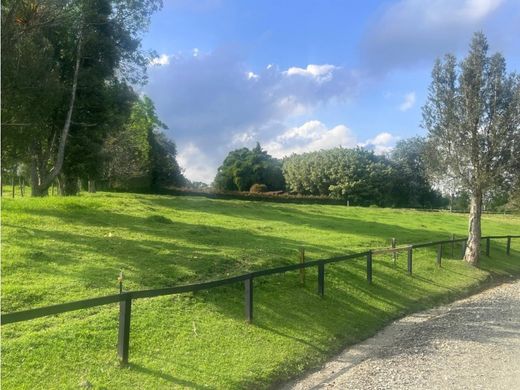 Teren w Rionegro, Departamento de Antioquia