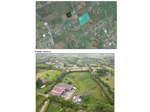 Terrain à Pereira, Departamento de Risaralda