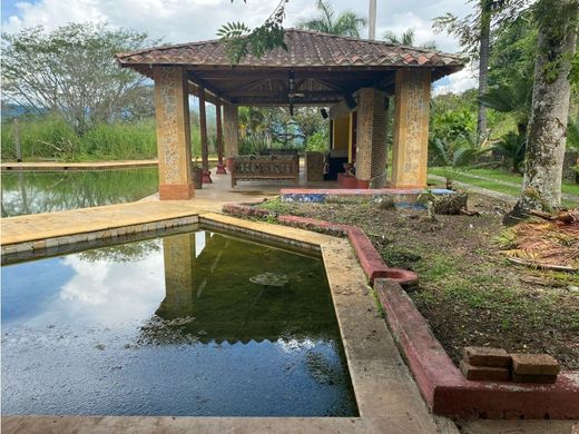 Ferme à La Pintada, Departamento de Antioquia