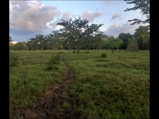 Arsa Montería, Departamento de Córdoba