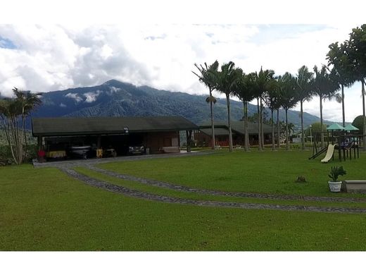 ﻣﻨﺰﻝ ﺭﻳﻔﻲ/ ﺑﻴﺖ ﻤﺰﺭﻋﺔ ﻓﻲ El Darién, Planadas