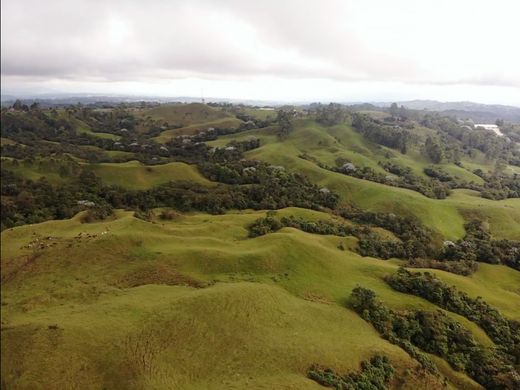 村舍/农舍  Filandia, Quindío Department