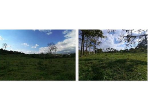 Floridablanca, Departamento de Santanderのカントリー風またはファームハウス