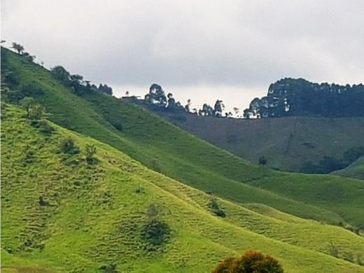 Santa Rosa de Cabal, Departamento de Risaraldaのカントリー風またはファームハウス