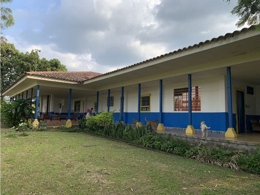 Arsa Armenia, Quindío Department