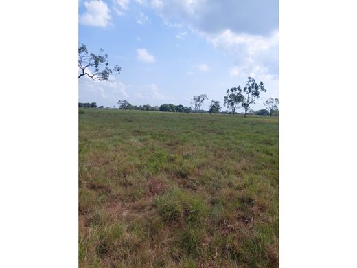 ﻣﻨﺰﻝ ﺭﻳﻔﻲ/ ﺑﻴﺖ ﻤﺰﺭﻋﺔ ﻓﻲ Ayapel, Departamento de Córdoba