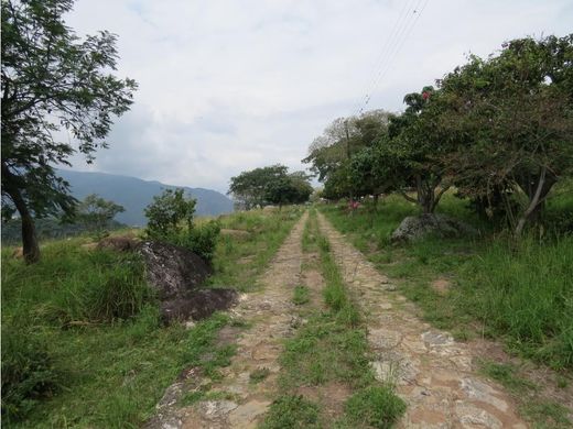 Rustik ya da çiftlik Fusagasugá, Departamento de Cundinamarca