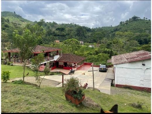 ﻣﻨﺰﻝ ﺭﻳﻔﻲ/ ﺑﻴﺖ ﻤﺰﺭﻋﺔ ﻓﻲ Andes, Departamento de Antioquia