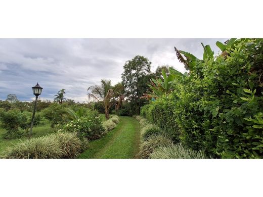 Rustik ya da çiftlik Armenia, Quindío Department