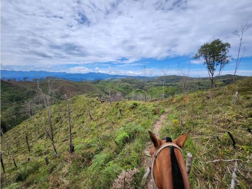 Rustik ya da çiftlik Yolombó, Departamento de Antioquia