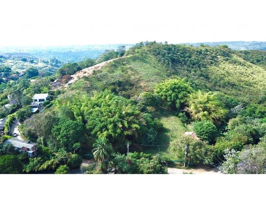 地皮  卡利, Cali