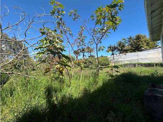 أرض ﻓﻲ Rionegro, Departamento de Antioquia