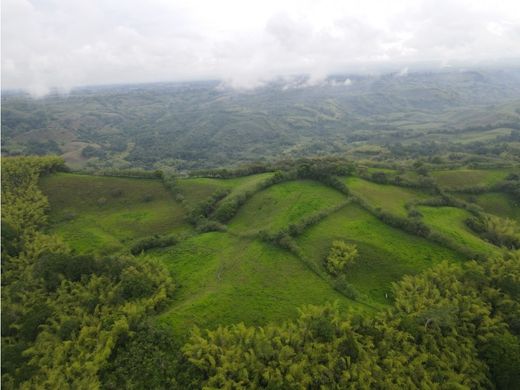 Ferme à Montenegro, Quindío Department