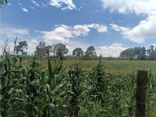 Terreno - Montenegro, Quindío Department