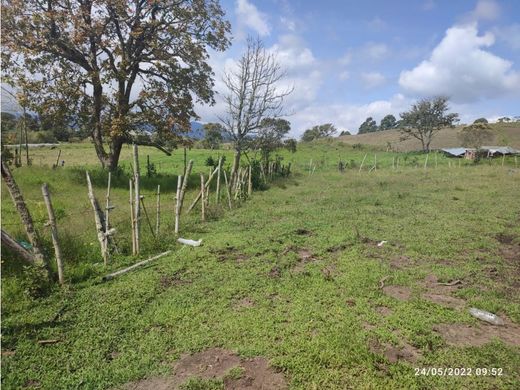 Ρουστίκ ή αγροικία σε Carmen de Viboral, El Carmen de Viboral