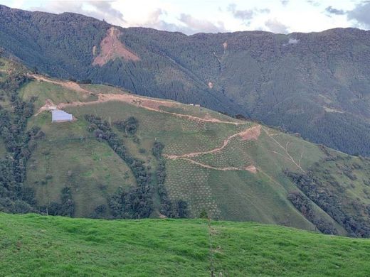 Ferme à Belmira, Departamento de Antioquia