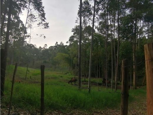 Arsa Carmen de Viboral, El Carmen de Viboral