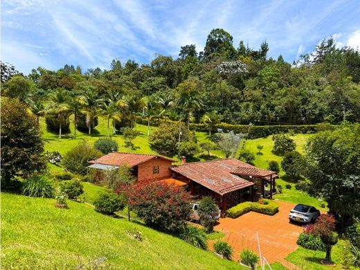 Daire La Ceja, Departamento de Antioquia