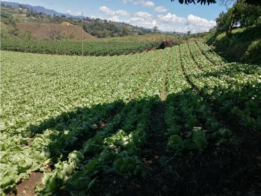 Terreno a Marinilla, Departamento de Antioquia