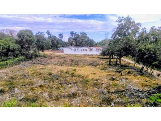 Terreno a Ricaurte, Departamento de Cundinamarca