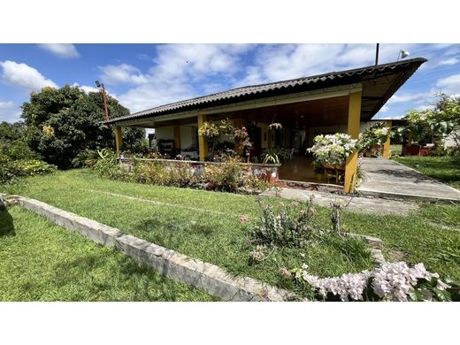 Gutshaus oder Landhaus in Calarcá, Calarca