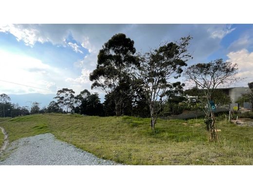 地皮  Envigado, Departamento de Antioquia
