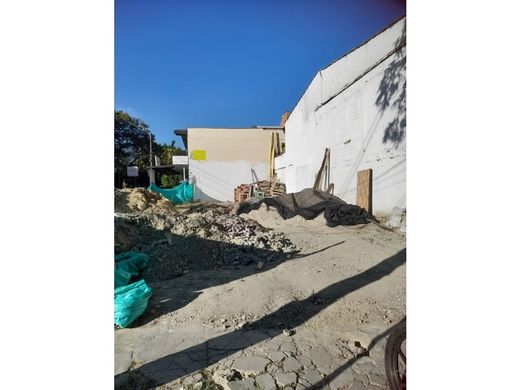 地皮  麦德林, Medellín