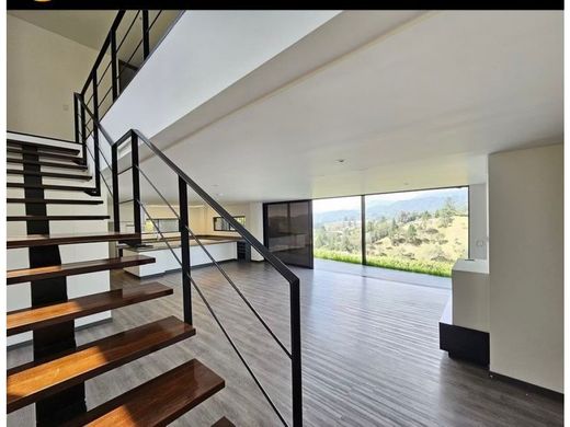 Gospodarstwo w Envigado, Departamento de Antioquia