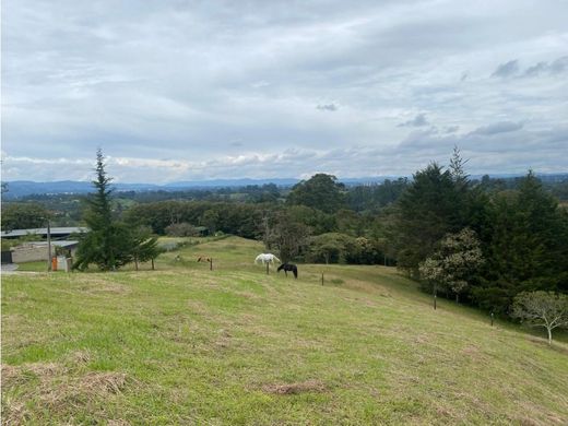 地皮  Rionegro, Departamento de Antioquia