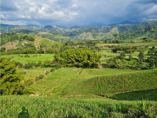 Αγροτεμάχιο σε Manizales, Departamento de Caldas