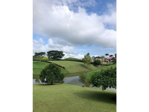 Terreno a Pereira, Departamento de Risaralda