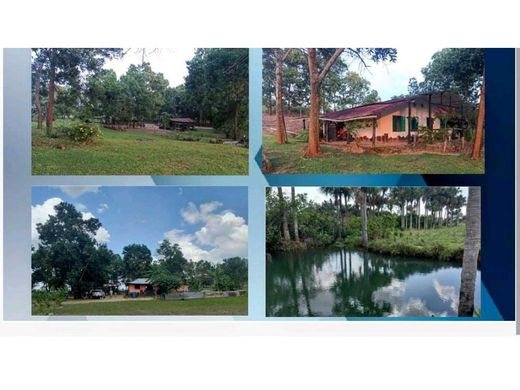 전원/농가 / Puerto Gaitán, Departamento del Meta