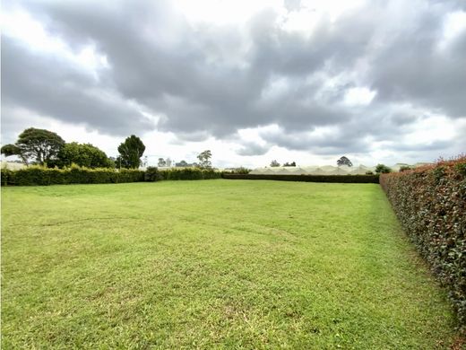 أرض ﻓﻲ Rionegro, Departamento de Antioquia