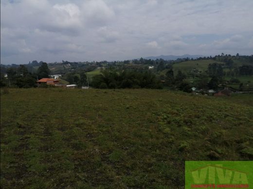 토지 / Carmen de Viboral, El Carmen de Viboral