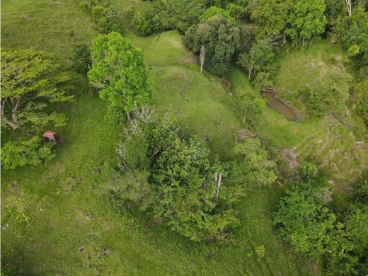 Teren w La Pintada, Departamento de Antioquia