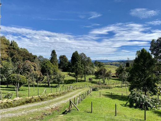 Boerderij in Medellín, Departamento de Antioquia