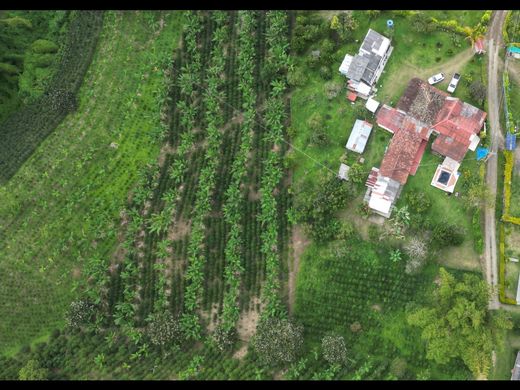 Boerderij in Armenia, Quindío Department