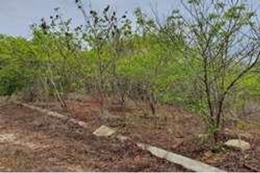 Land in Barranquilla, Atlántico