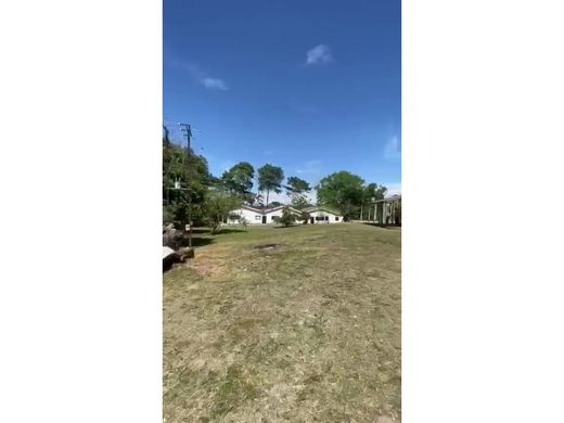 Ferme à La Dorada, Departamento de Caldas